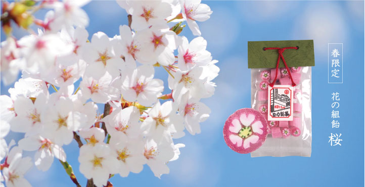春限定　花の組飴　桜